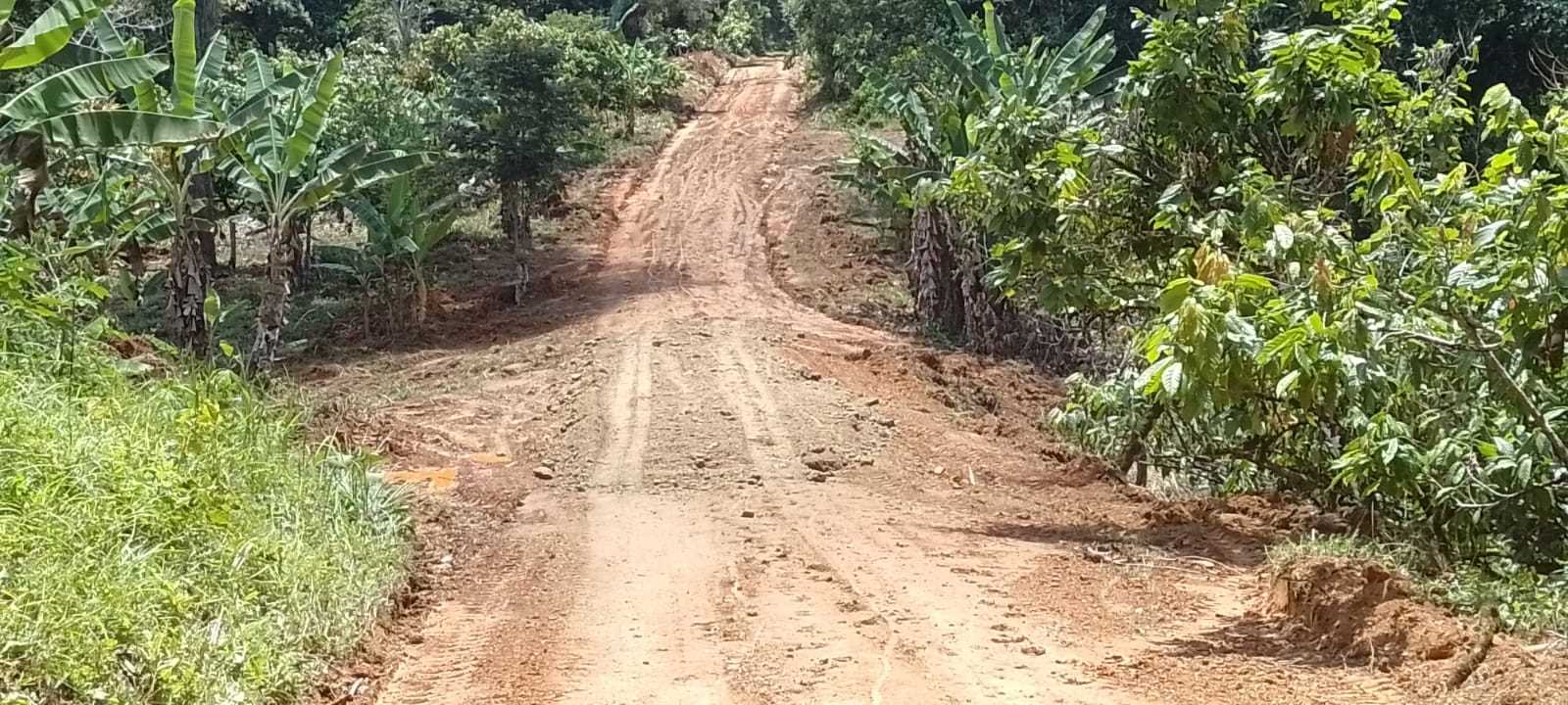 Camacã: Prefeitura começa a recuperar estradas vicinais